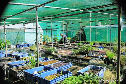 Paten Park Native Nursery - Thumbnail