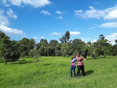 Photos of Egerton Botanic Garden
