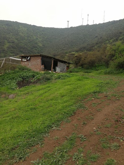 Photos of Club de Campo Rucalhue