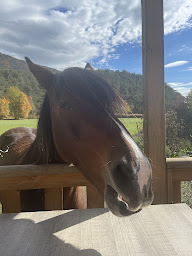 Photo n°29 de Camping du Petit Vaux à Veynes (Terrain de camping)