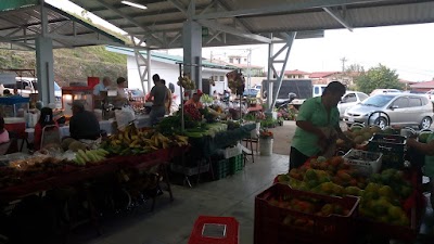 Photos of Feria Del Agricultor