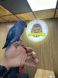 Photo n°19 de BURGER HOUSE.suresnes à Suresnes (Restaurant halal)