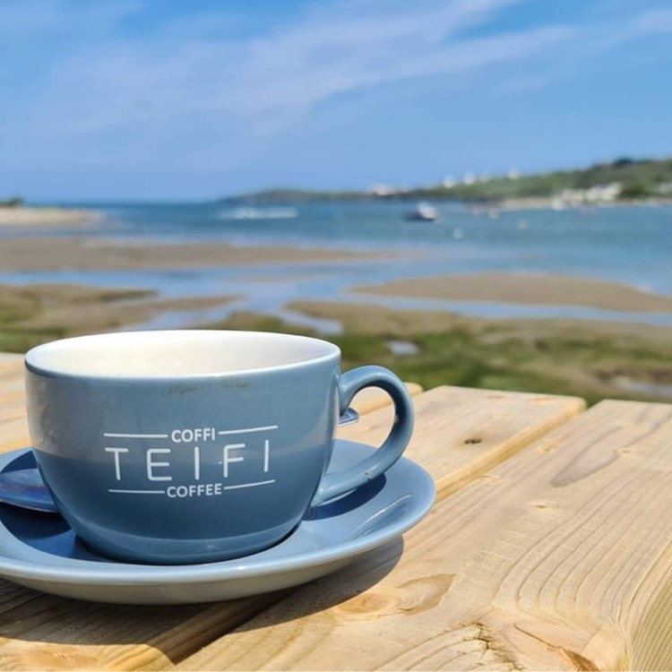 Teifi Waterside Hotel — photo 2