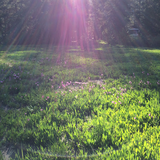 Pacific Valley Campground - Thumbnail