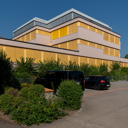 Primarschule - Visual