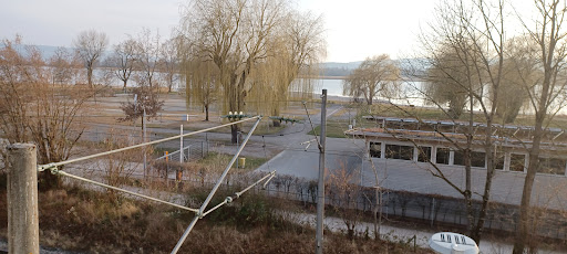 Markelfingen - Thumbnail