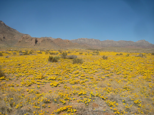 Castner Range National Monument - Thumbnail