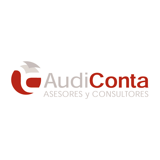 Audiconta Asesores y Consultores, SL - Thumbnail