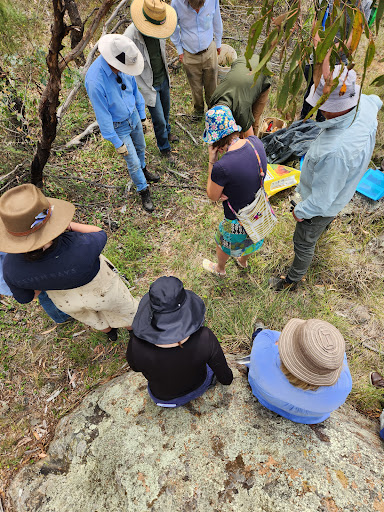 Mount Rogers Reserve Carpark - Thumbnail