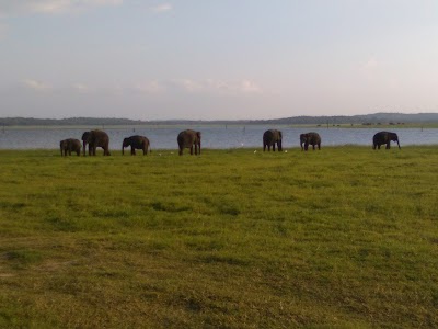 Photos of Kaudulla National Park & TANK