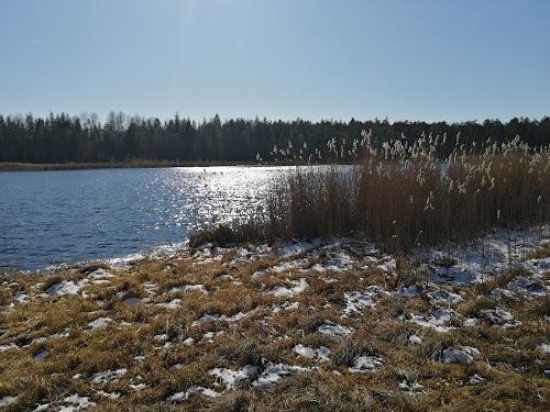 Kangaru skatu tornis