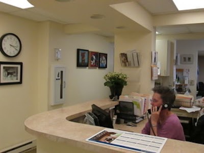 Cedarwood Veterinary Clinic