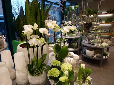 Photos of Flowers Huschle - floristry and gardening
