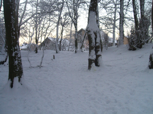Eikenbos - Visual