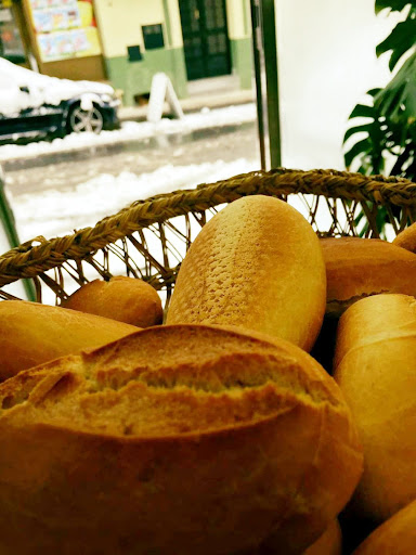Panaderia Vázquez - PYDUC SL - Thumbnail