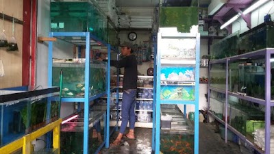 Photos of Rizky Aquarium