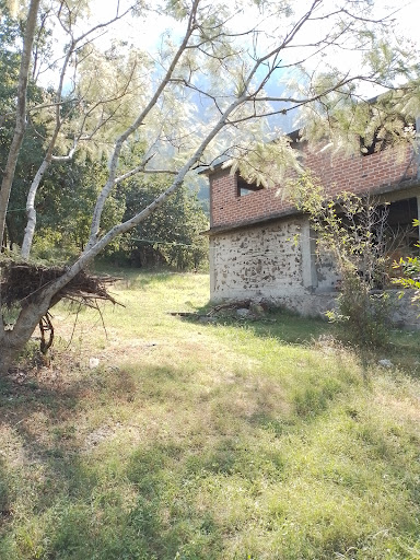campamento osos
