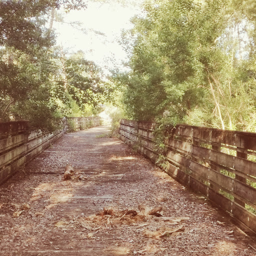 Florida Trail Sam Atkins Park Trailhead