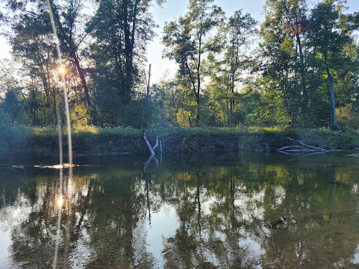 Rainbow Rapids - Visual