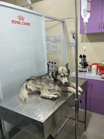 Photos of bogor pet center
