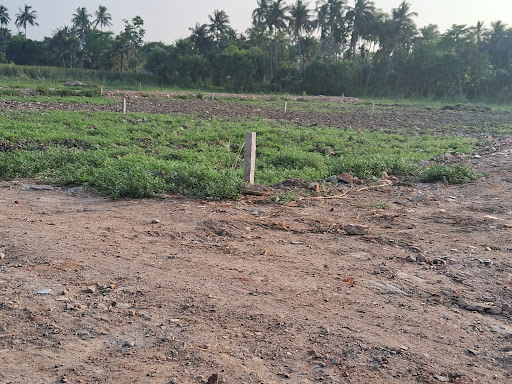 Gallery image 10
