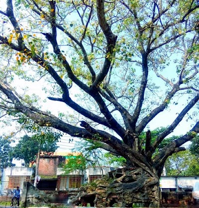Photos of Ishwardi Government College