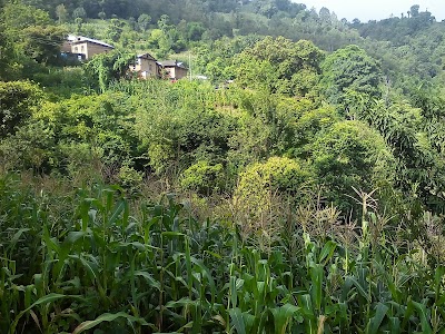 Photos of Jimmal Tea Shop
