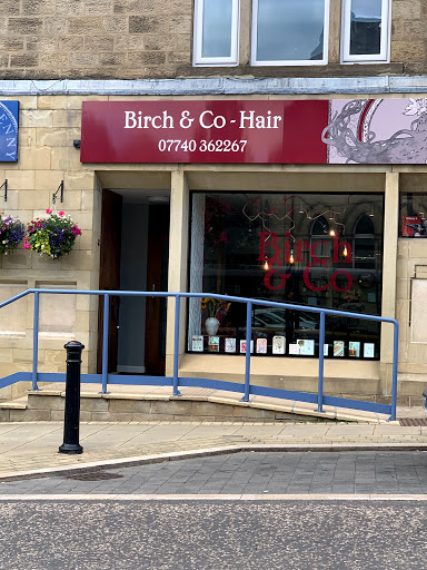 Birch and Co - Thumbnail