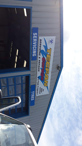 Tegfan Garage Ltd - Thumbnail
