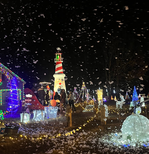 Dances Bay Christmas Light Show - Thumbnail