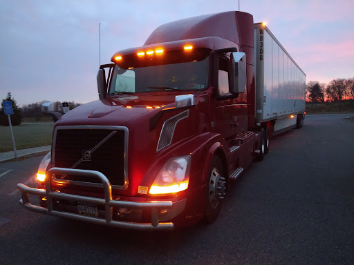 Champion Container - Visual