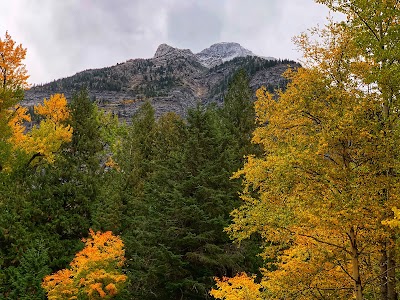 Trail of the Cedars Nature Trail