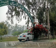 Wapda Town GraveYard lahore