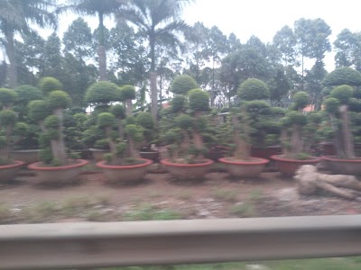 photo of Experimental Research Center of Agriculture Hung Loc