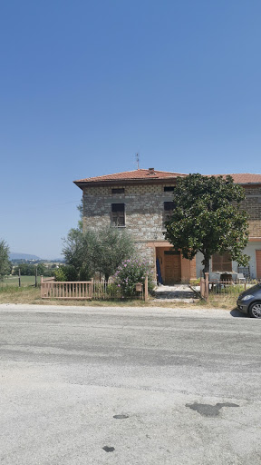 Fabbri Inc.Giano