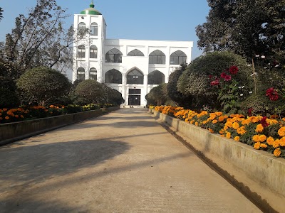 Photos of Amber Cotton Zame Masjid