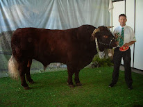 gaec de solignac à Labesserette