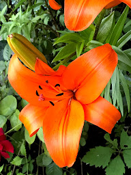 Photo n°19 de L'atelier des Coudelières à Le Thor (Chambre d'hôtes)