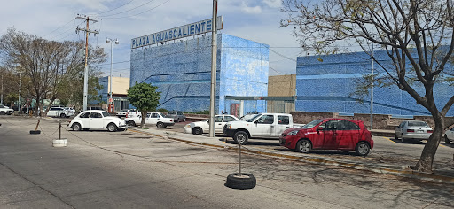 Plaza Aguascalientes