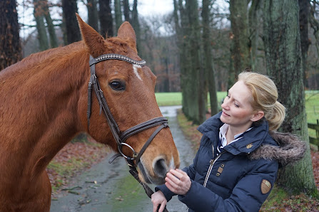 Bild: Tierärztliche Praxis für Pferde Dr. Susanne Ihmels Vom Inhaber