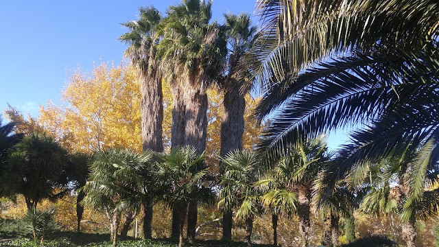 Juan Carlos I Park