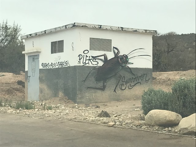 Plage Taghazout