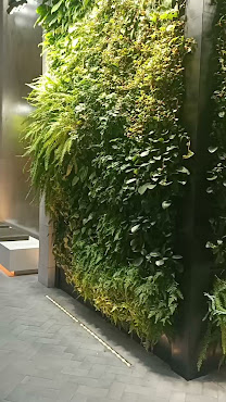 Capella Sydney by null