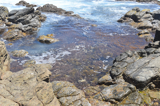 Honeycombs Beach - Thumbnail