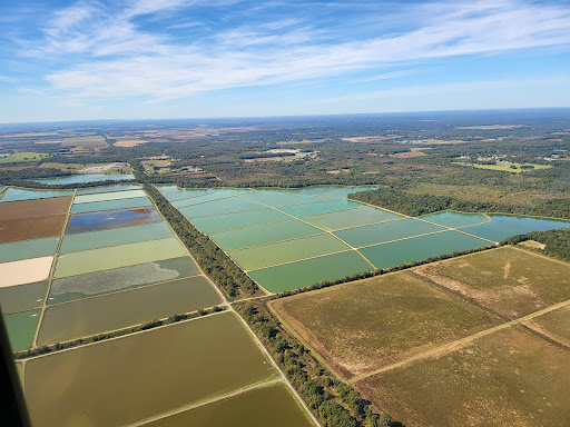 Frisby Fish Farm - Thumbnail