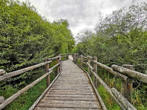 Observatoire Ornithologique de Montigny en Morvan