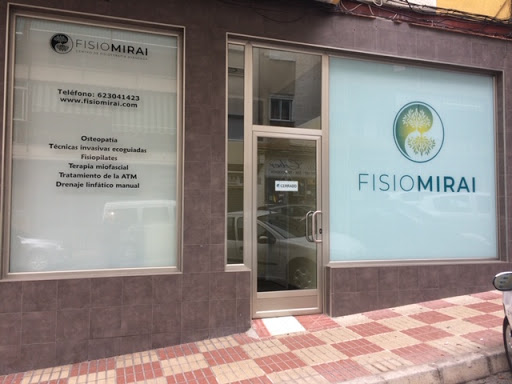 FisioMirai - Visual
