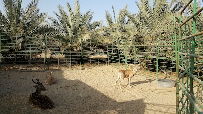 Photos of Aldanat stud