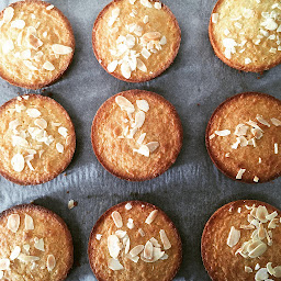 Photo n°35 de Boulangerie du Pain Perché à Botmeur (Boulangerie)