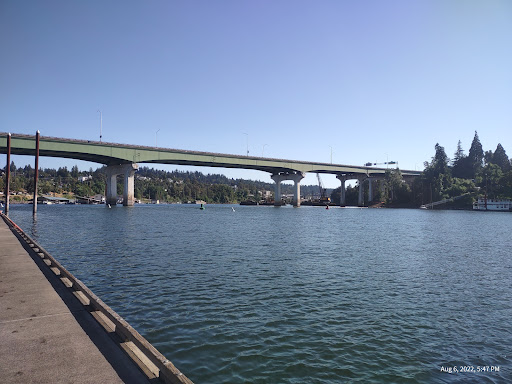 Jon Storm Park - Visual